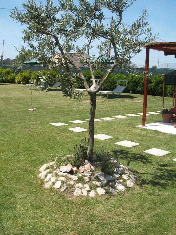 La Locanda Country House Borgo Montenero Exterior foto